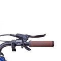 JOBOBIKE Step-Thru Women's Electric Bikes.jpg