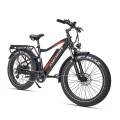 JOBOBIKE ROBIN Electric bike FATBIKE (6).jpg
